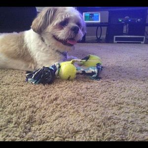 Meet your Posher, Regan